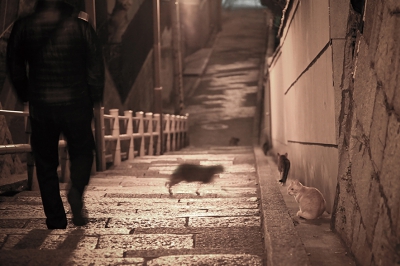 最優秀賞 神野洋一・夕暮れweb.jpg