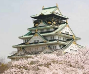 大阪城の桜 新.jpg